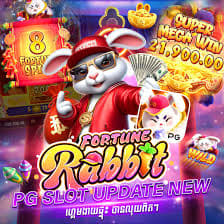 qual melhor horário para jogar fortune rabbit a noite ícone